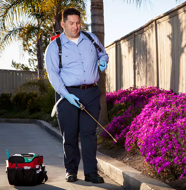 Why Choose Rapid Pest Control Dallas in Dallas, OR?