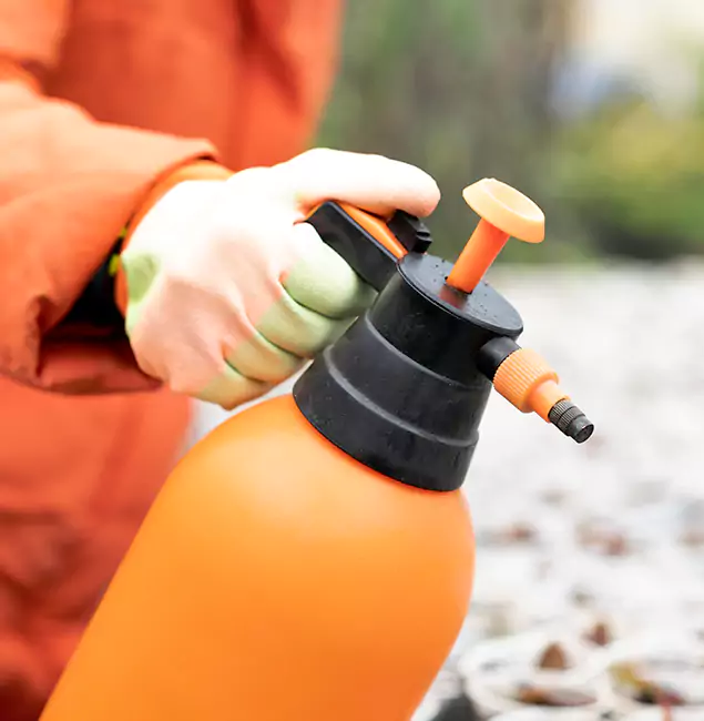 Why Choose Rapid Pest Control Dallas for Orange Termite Treatment in Dallas, OR?