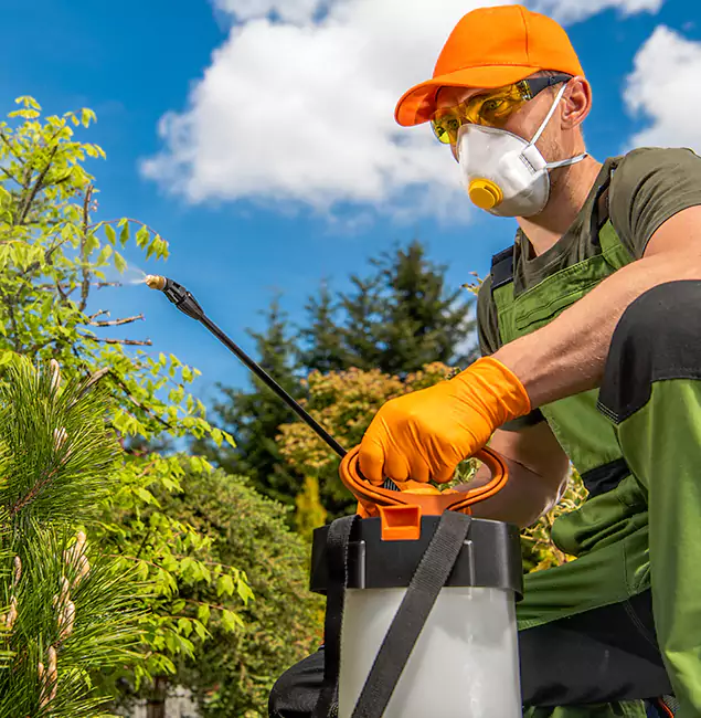 Why Choose Rapid Pest Control Dallas for Outdoor Pest Control in Dallas, OR?