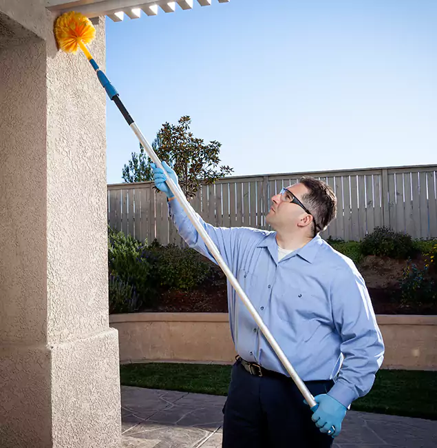 Why Choose Rapid Pest Control Dallas for Pest Control Services in Dallas, OR?