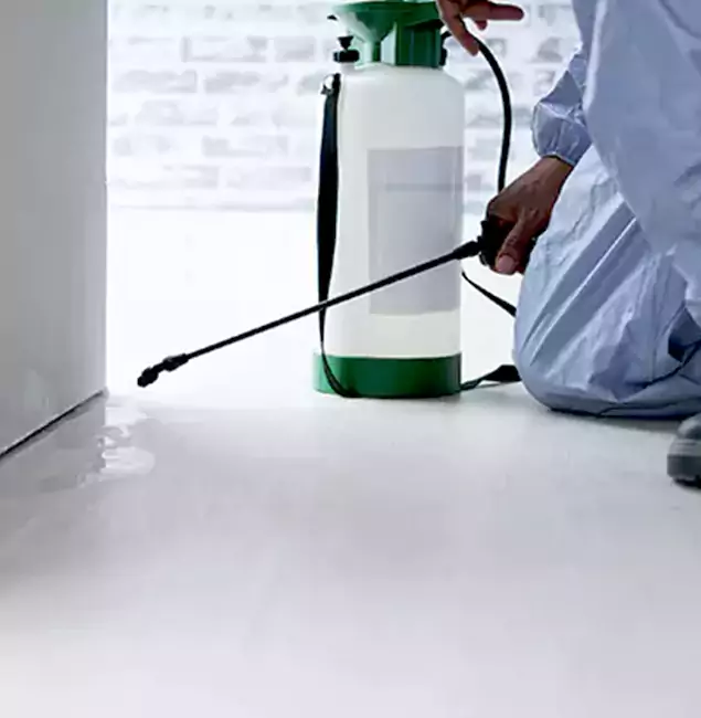 Why Choose Rapid Pest Control Dallas for Rat Exterminator in Dallas, OR?