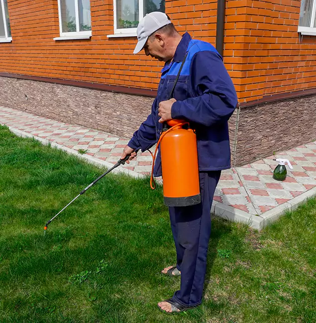 Why Choose Rapid Pest Control Dallas for Residential Pest Control in Dallas, OR?