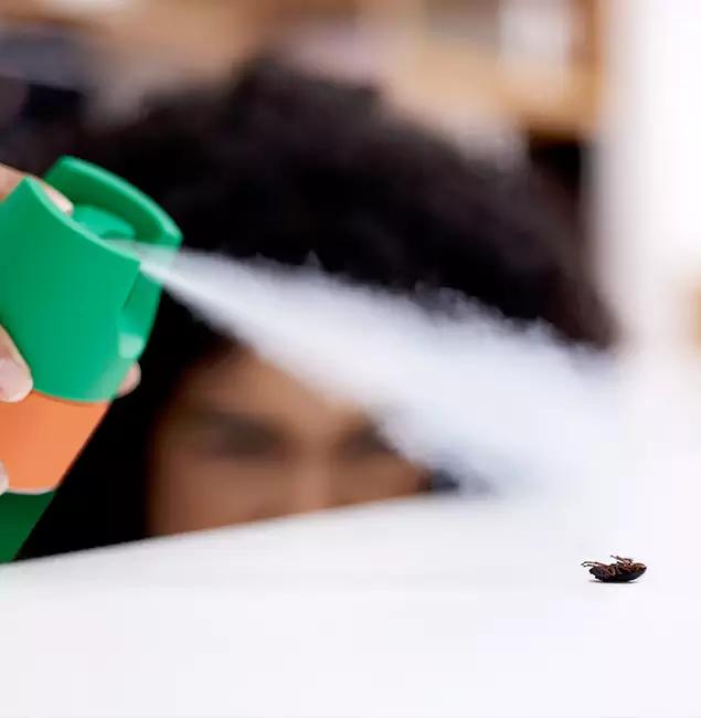 Why Dallas, OR Homeowners Choose Rapid Pest Control Dallas for Roach Pest Control?