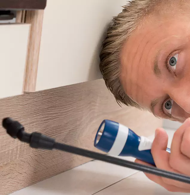Why Choose Rapid Pest Control Dallas for Rodent Exterminator in Dallas, OR?