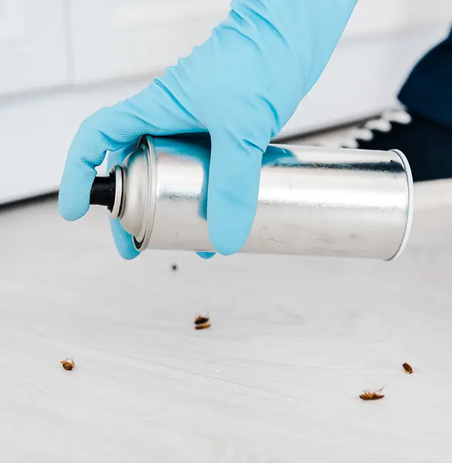 Why Choose Rapid Pest Control Dallas for Safe Bed Bug Treatment in Dallas, OR?