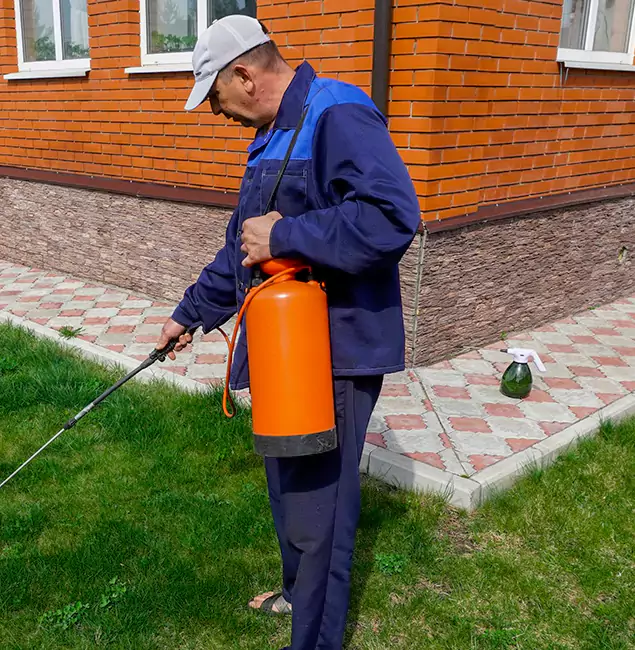 Why Choose Rapid Pest Control Dallas for Soil Treatment in Dallas, OR?