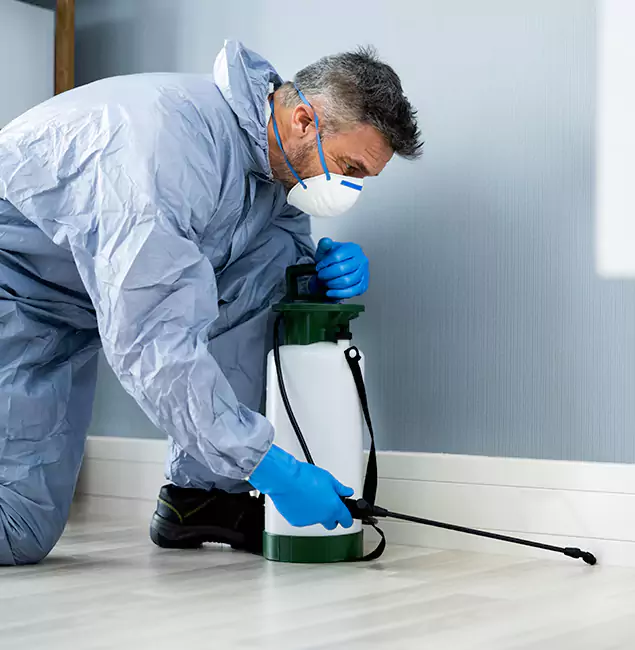 Why Choose Rapid Pest Control Dallas for Subterranean Termites Treatment in Dallas, OR?