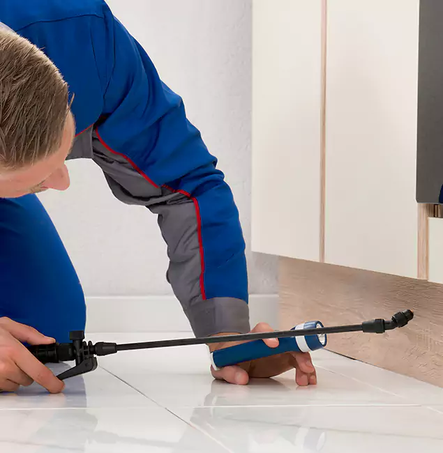 Why Dallas Residents Choose Rapid Pest Control Dallas to Get Rid of Sugar Ants?