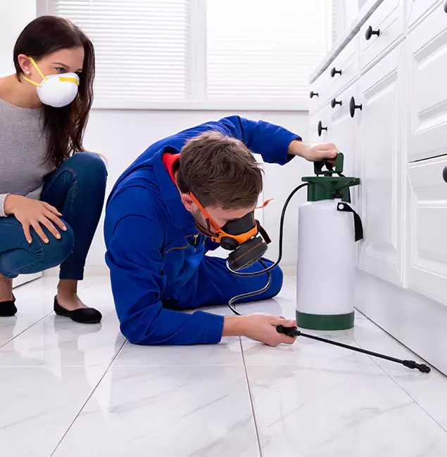 Why Choose Rapid Pest Control Dallas for Termite Inspection Cost in Dallas, OR?