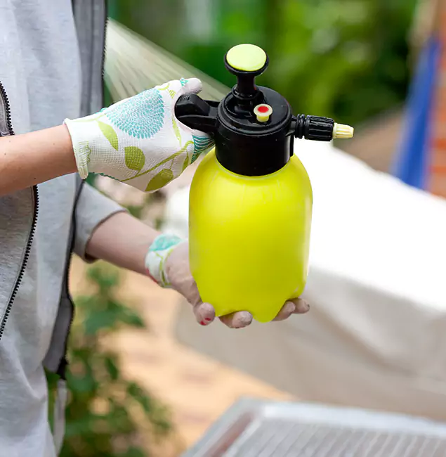 Why Choose Us: Rapid Pest Control Dallas Termite Spraying Experts in Dallas, OR?