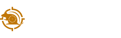 Rapid Pest Control Dallas