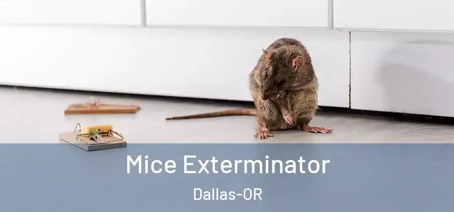 Mice Exterminator Dallas-OR