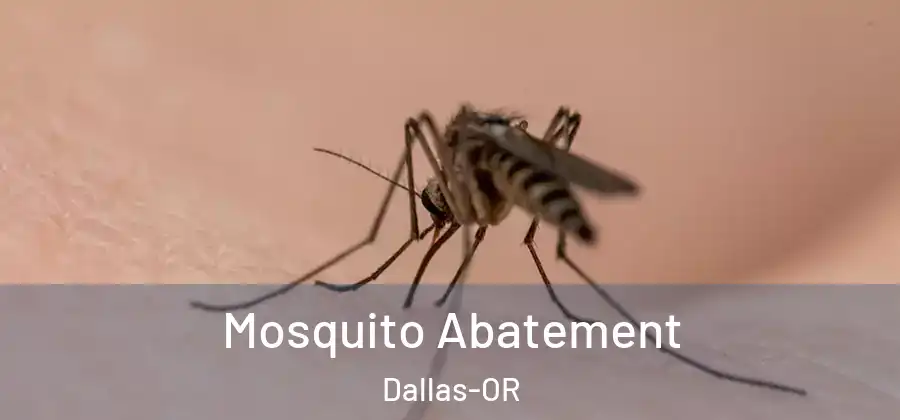  Mosquito Abatement Dallas-OR