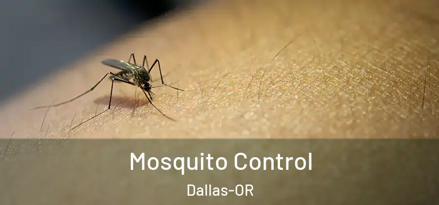 Mosquito Control Dallas-OR