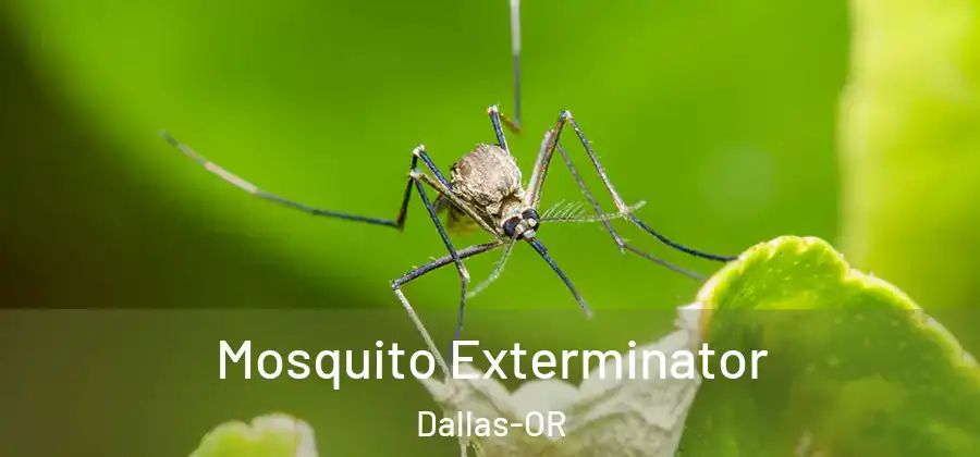 Mosquito Exterminator Dallas-OR