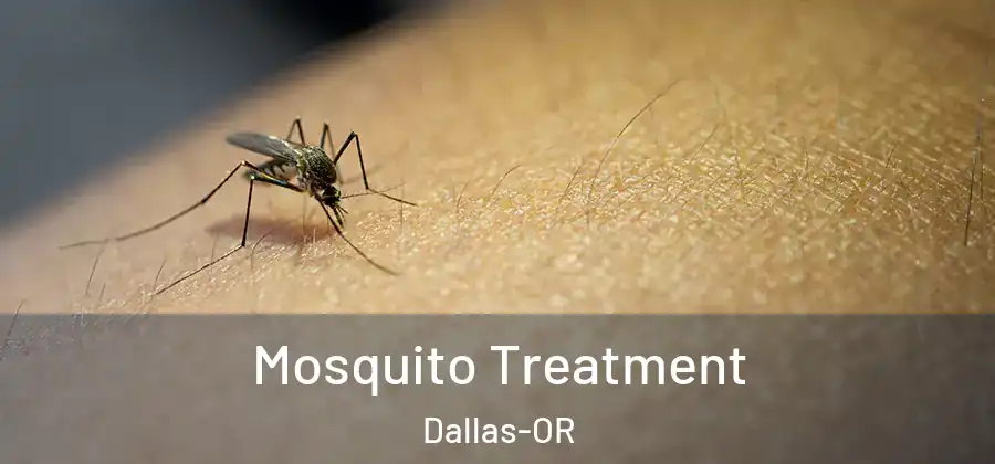 Mosquito Treatment Dallas-OR