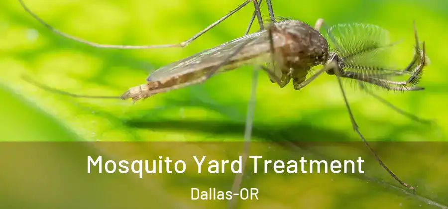 Mosquito Yard Treatment Dallas-OR