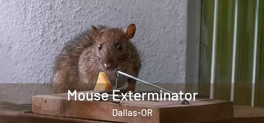 Mouse Exterminator Dallas-OR