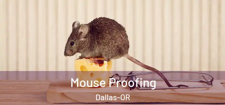 Mouse Proofing Dallas-OR