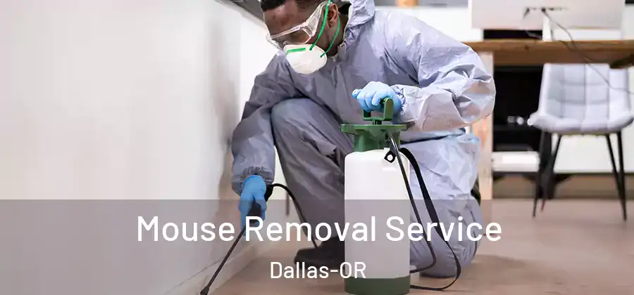 Mouse Removal Service Dallas-OR