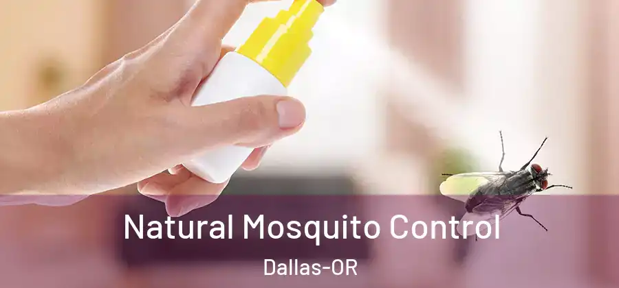  Natural Mosquito Control Dallas-OR