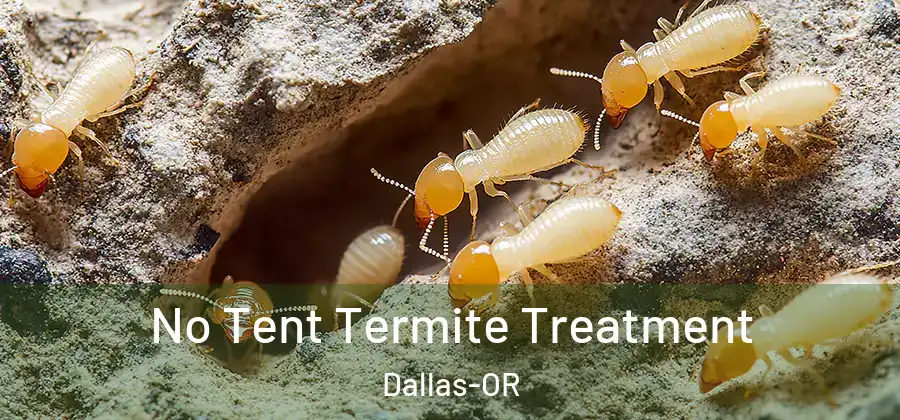 No Tent Termite Treatment Dallas-OR