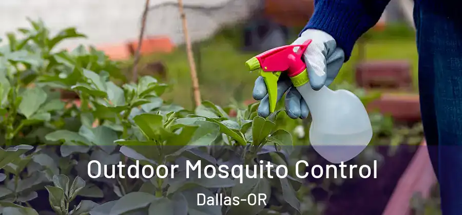 Outdoor Mosquito Control Dallas-OR