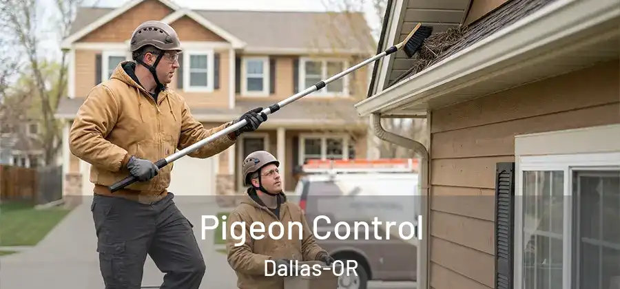 Pigeon Control Dallas-OR