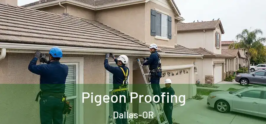 Pigeon Proofing Dallas-OR