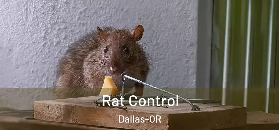 Rat Control Dallas-OR