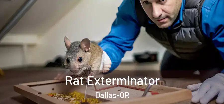 Rat Exterminator Dallas-OR