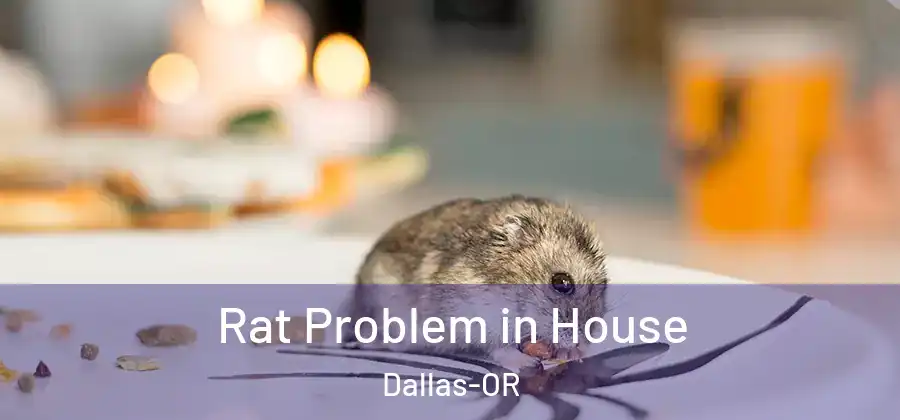 Rat Problem in House Dallas-OR