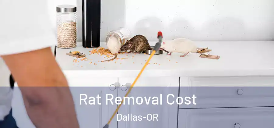 Rat Removal Cost Dallas-OR