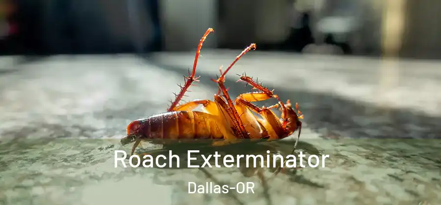  Roach Exterminator Dallas-OR
