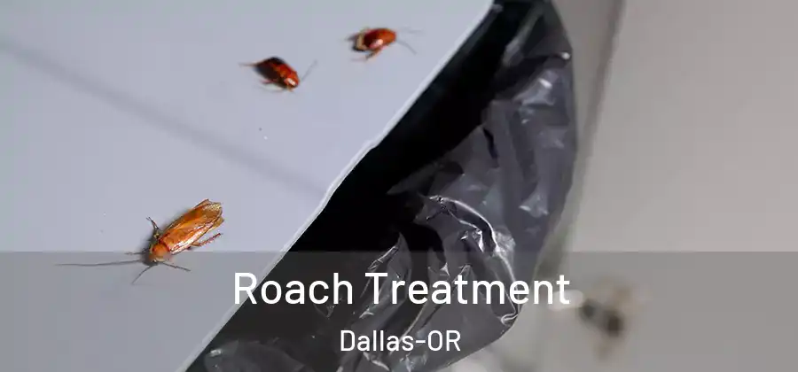 Roach Treatment Dallas-OR