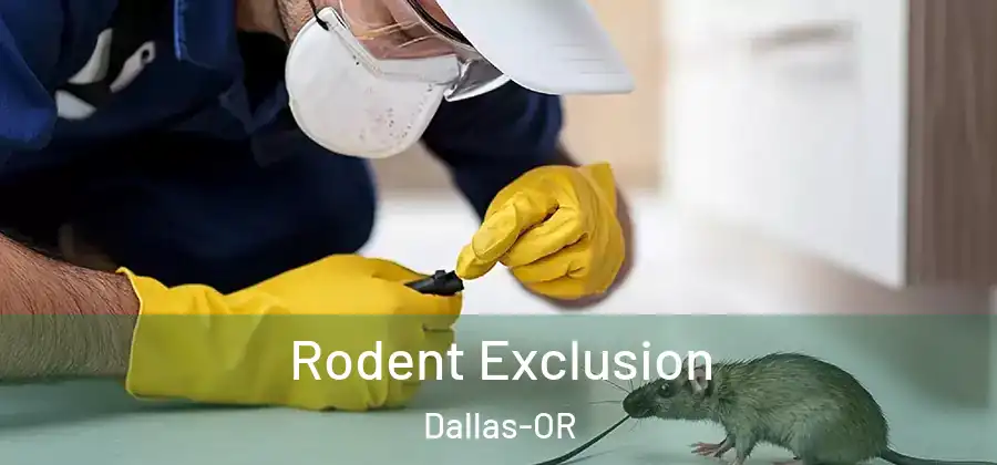 Rodent Exclusion Dallas-OR