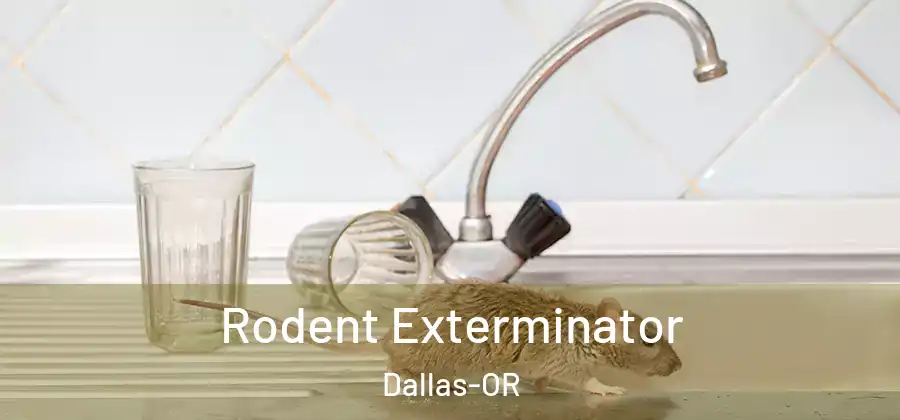 Rodent Exterminator Dallas-OR