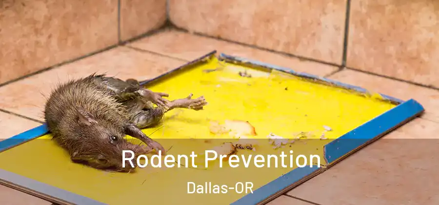 Rodent Prevention Dallas-OR
