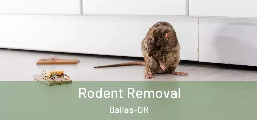 Rodent Removal Dallas-OR