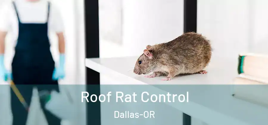  Roof Rat Control Dallas-OR