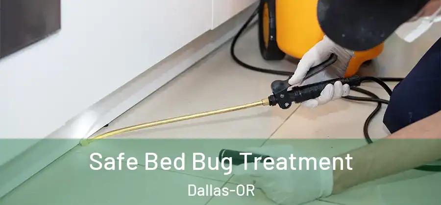 Safe Bed Bug Treatment Dallas-OR