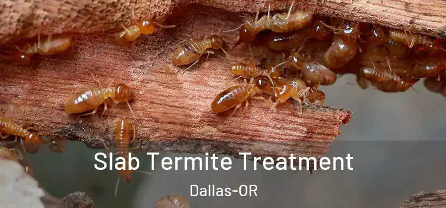  Slab Termite Treatment Dallas-OR