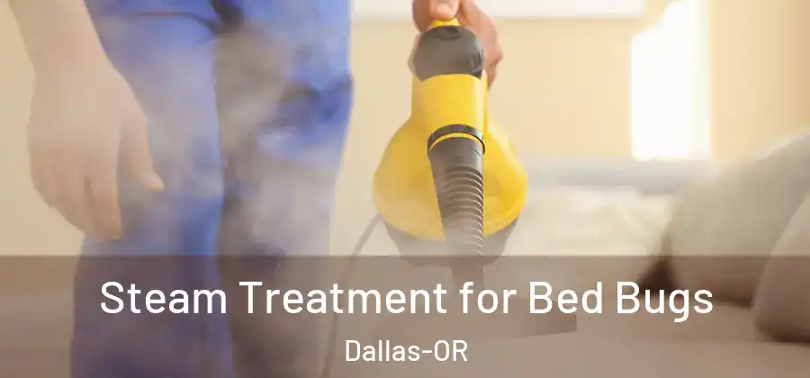  Steam Treatment for Bed Bugs Dallas-OR