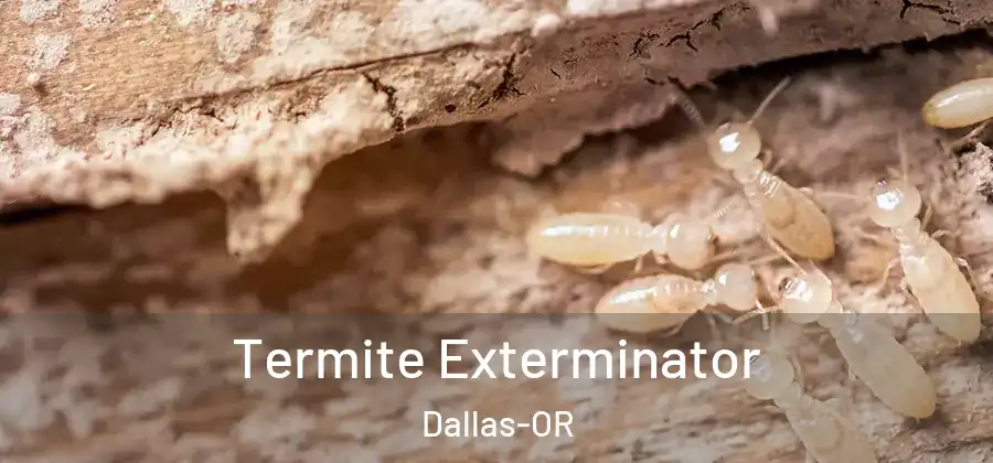 Termite Exterminator Dallas-OR