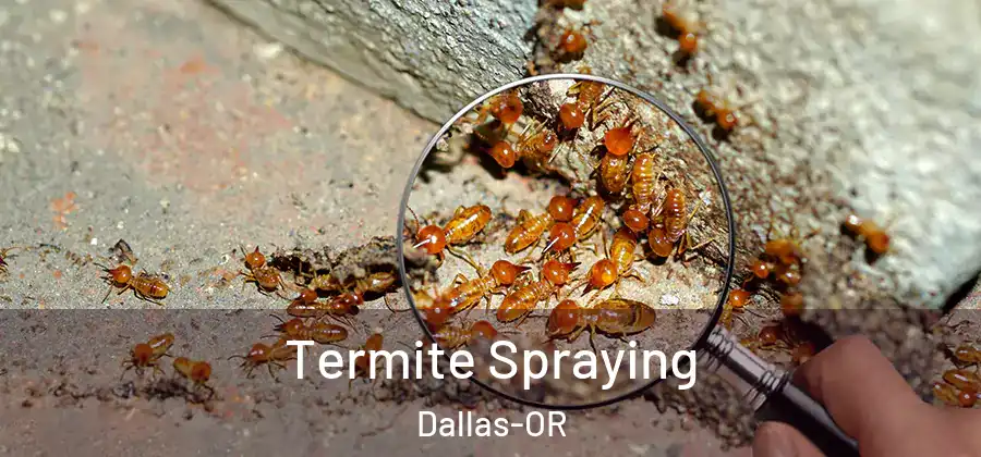 Termite Spraying Dallas-OR