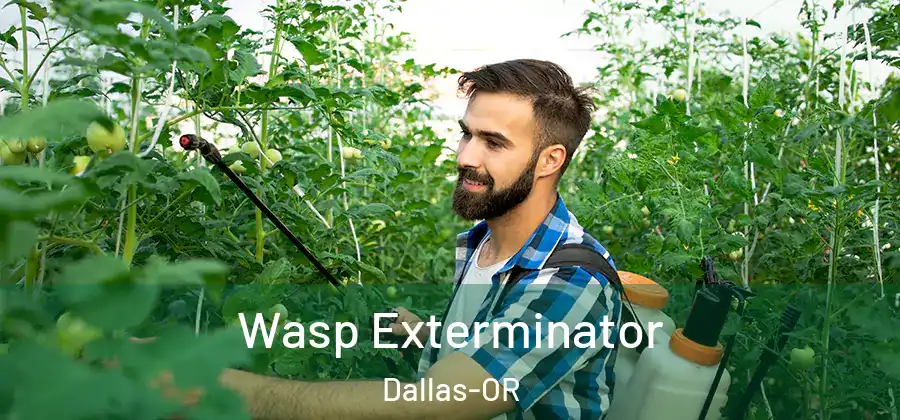  Wasp Exterminator Dallas-OR