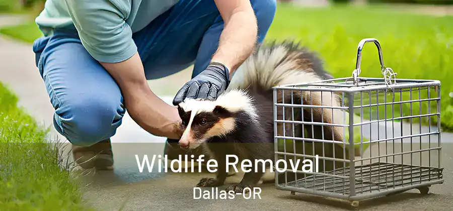 Wildlife Removal Dallas-OR