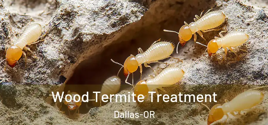 Wood Termite Treatment Dallas-OR