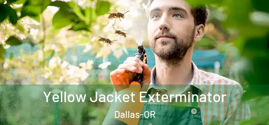 Yellow Jacket Exterminator Dallas-OR